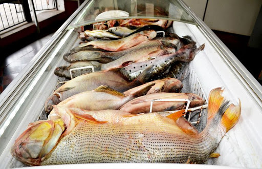 Semana Santa: ¿Cuánto cuesta el pescado en Funes?